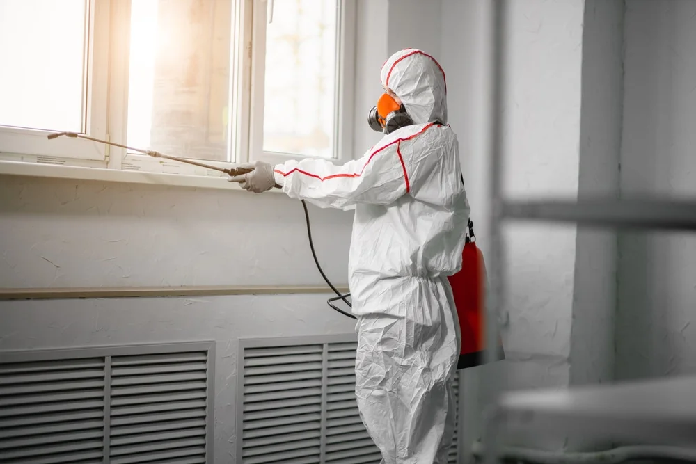 Professional mold remediation services in Royal, AR